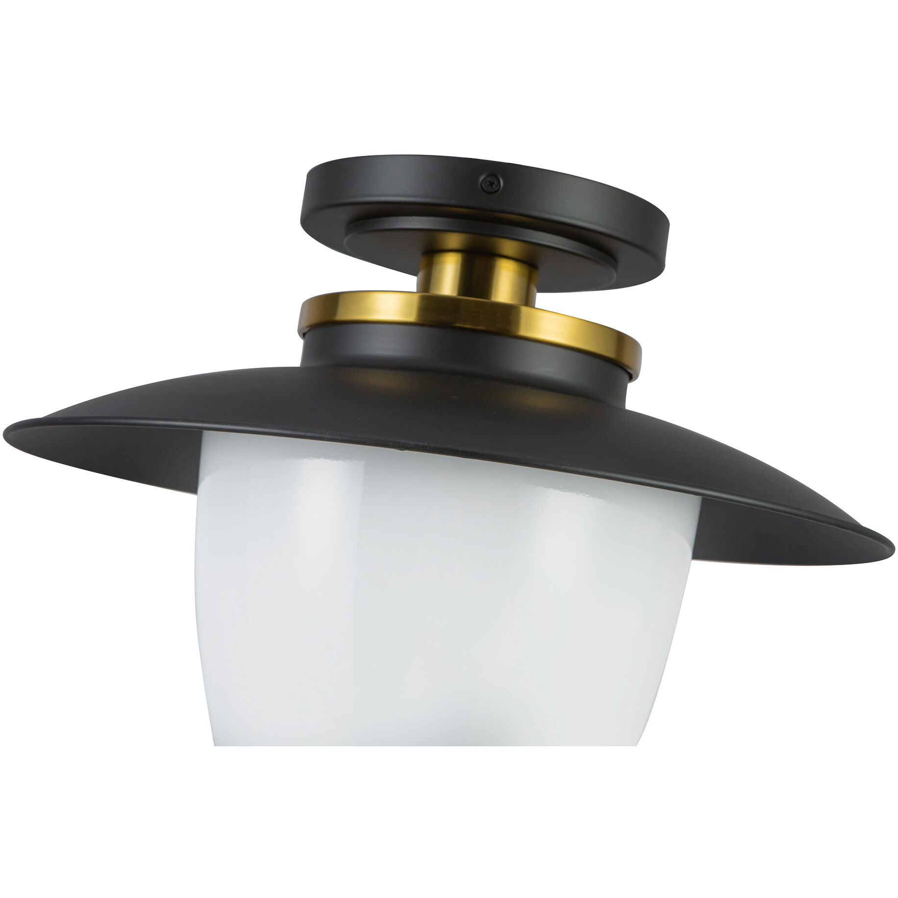 Dahlia 1 Light 15 inch Black and Brass Pendant Ceiling Light