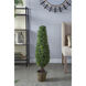 Boxwood Green Faux Plant