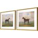 Animals Collection Multi Framed Art