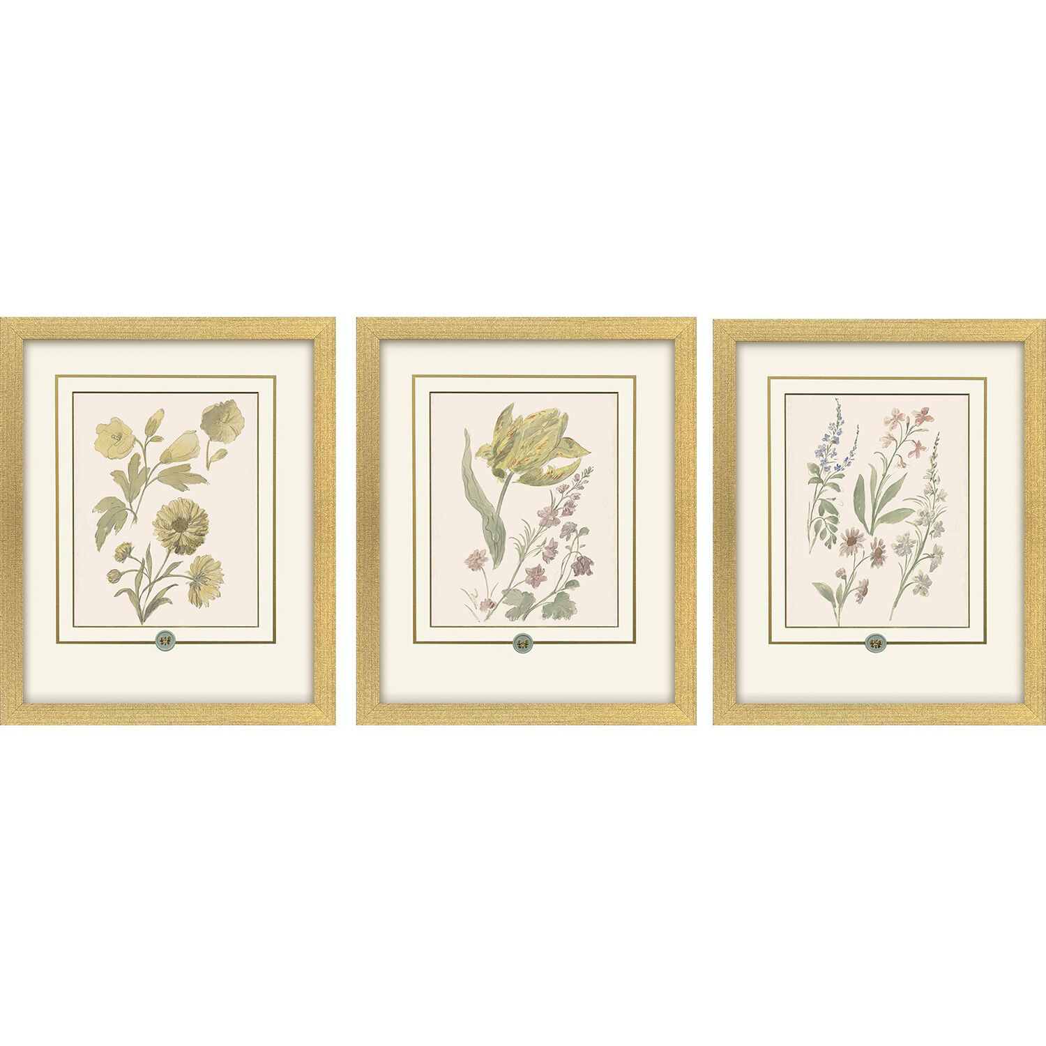 Garden Study Green and Pink and Multi and Yellow Framed Art