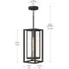 Shaw 1 Light 7 inch Antique Bronze Outdoor Pendant