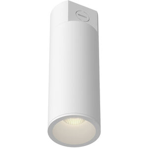 Lorna 3.25 inch Flush Mount