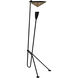 Jetset 71 inch 40.00 watt Matte Black with Antique Brass Floor Lamp Portable Light