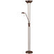 Contemporary 71 inch 100 watt Oil Brused Bronze Task Floor Lamp Portable Light in Oil Brushed Brass, Gooseneck