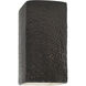 Ambiance LED 9.5 inch Pewter Green Outdoor Wall Sconce