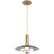 Cirrus LED 9 inch Novel Brass Pendant Ceiling Light in Smoke Granite, Small