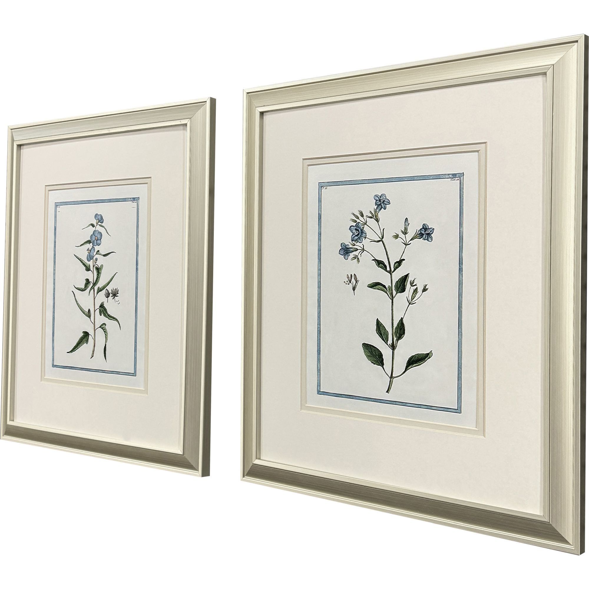 Shabby Chic Botanical Blue and Green Framed Art, Propac