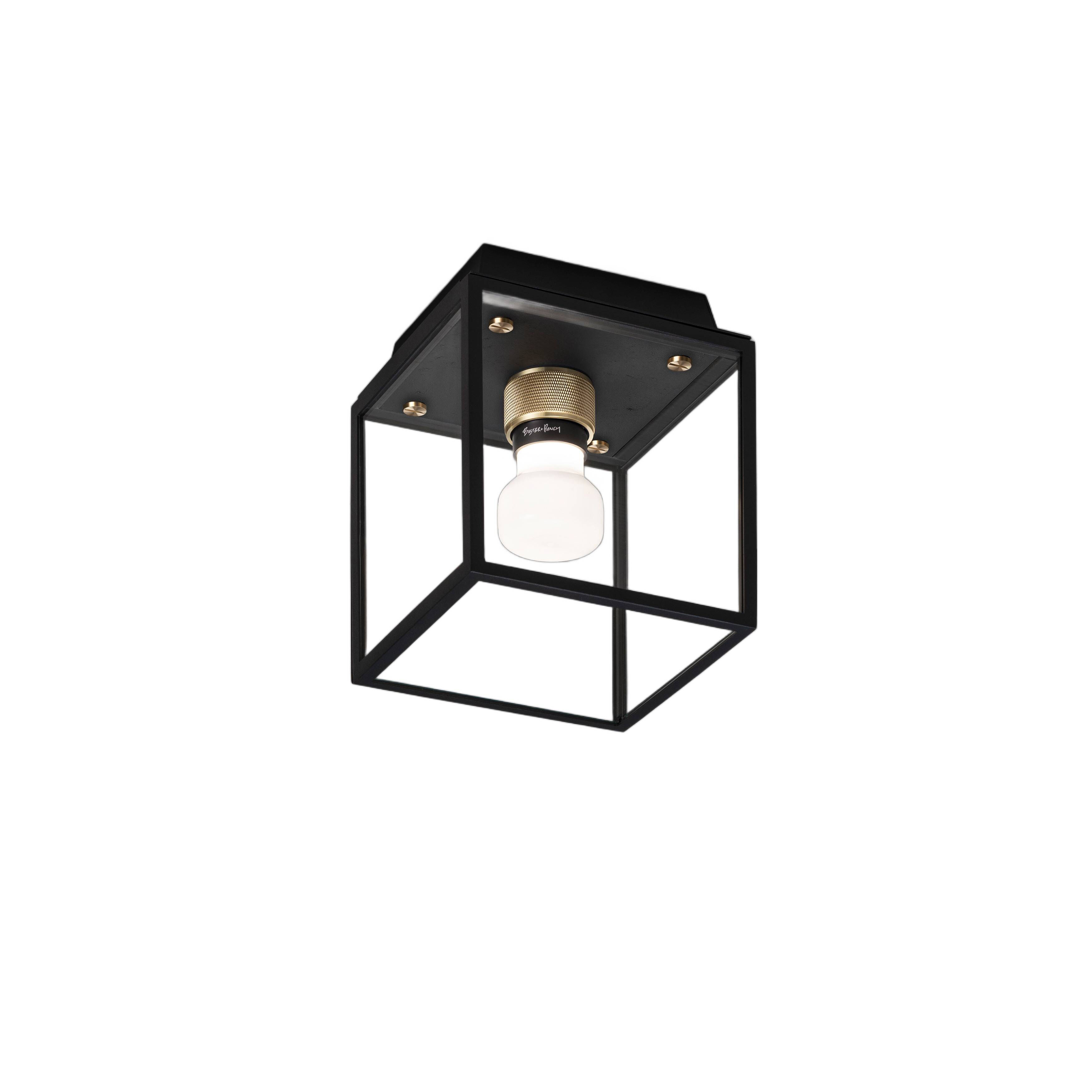 Caged Wet LED 6.81 inch Black / Brass Outdoor Semi-Flush Mount
