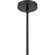 Swirl 1 Light 8.5 inch Matte Black Pendant Ceiling Light