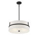 Contemporary 4 Light 20 inch Matte Black Pendant Ceiling Light