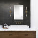Zariyah 38 X 20 inch Antique Brass Wall Mirror