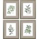 Florals Collection Green Framed Art