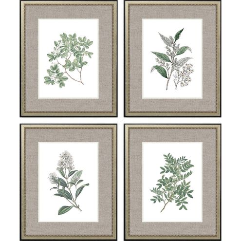 Florals Collection Green Framed Art