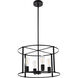 Agnys 4 Light 20 inch Black Pendant Ceiling Light