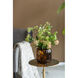 Chee 7.9 X 7.9 inch Vase