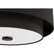 Brookside 2 Light 13.25 inch Matte Black Flush Mount Ceiling Light, Medium