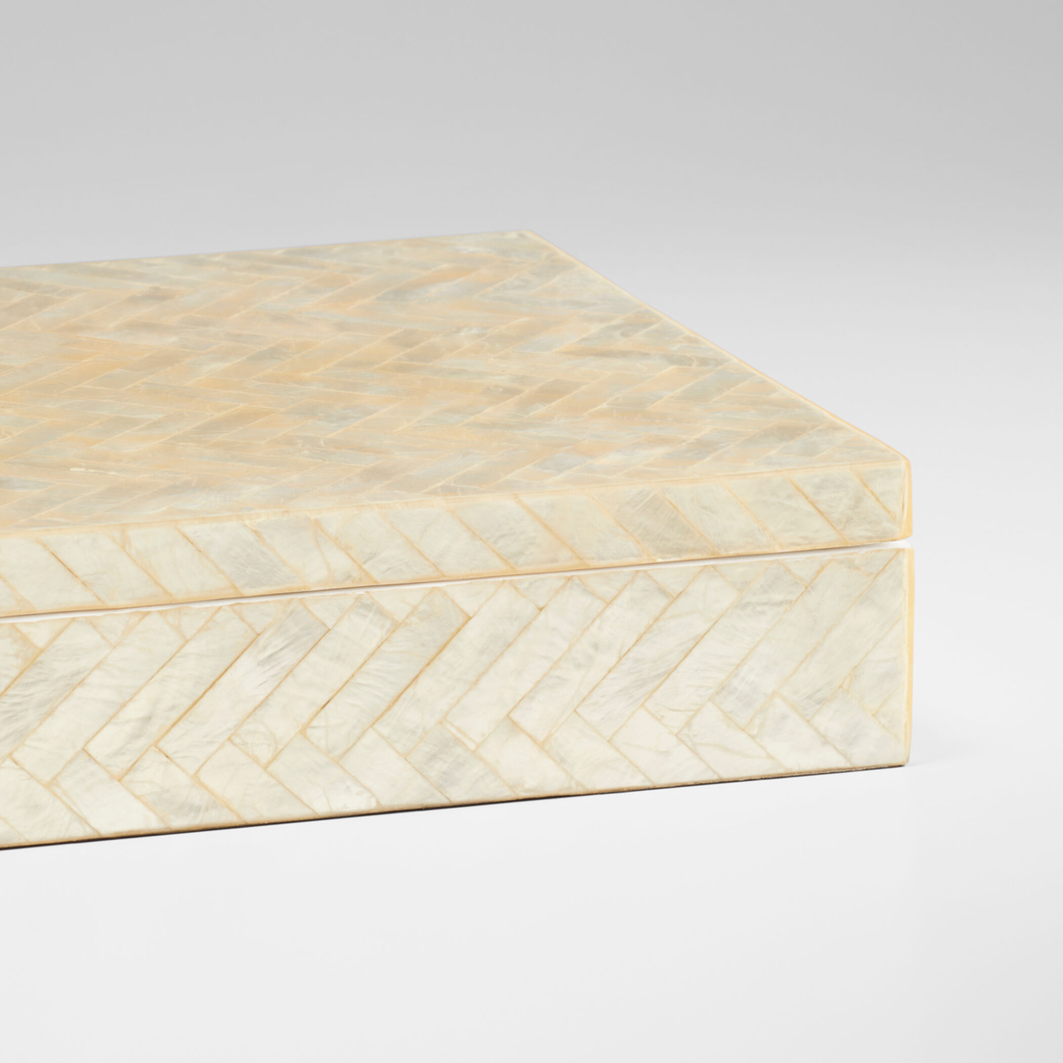 Triton 16.25 X 12.25 inch Pearl Box, Large