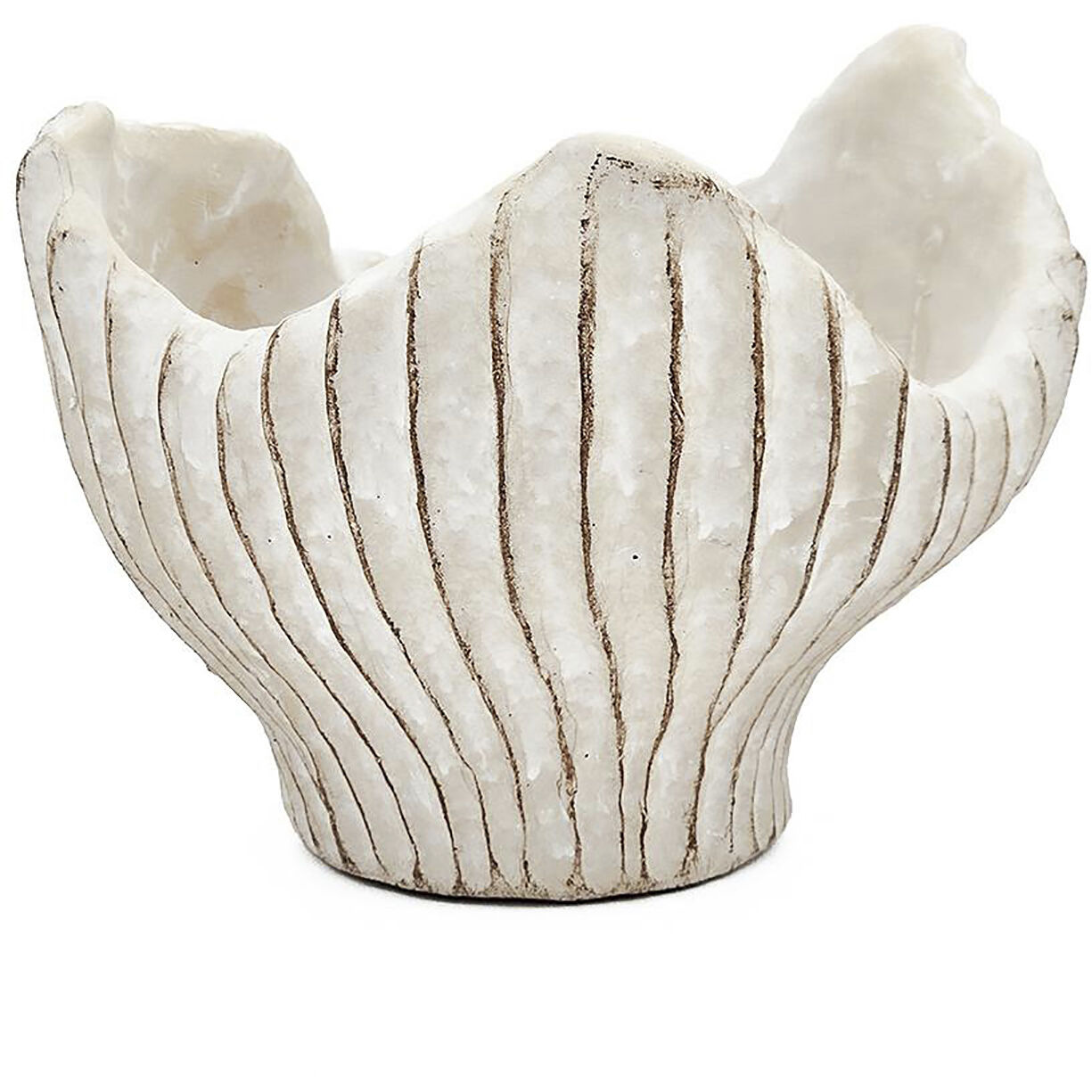 Clam Shell Beige Planter