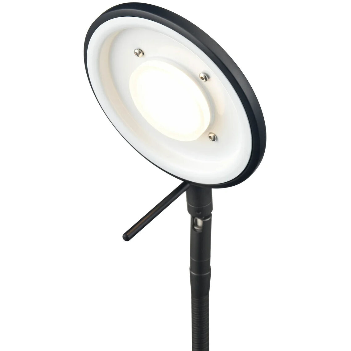 Dessau Flex 18 inch 13.00 watt Museum Black Desk Lamp Portable Light