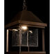 Dorset 1 Light 14.6 inch Coastal Bronze Outdoor Hanging Lantern in Seeded Clear