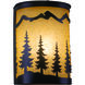 Yosemite LED 8 inch Burnished Bronze Wall Light