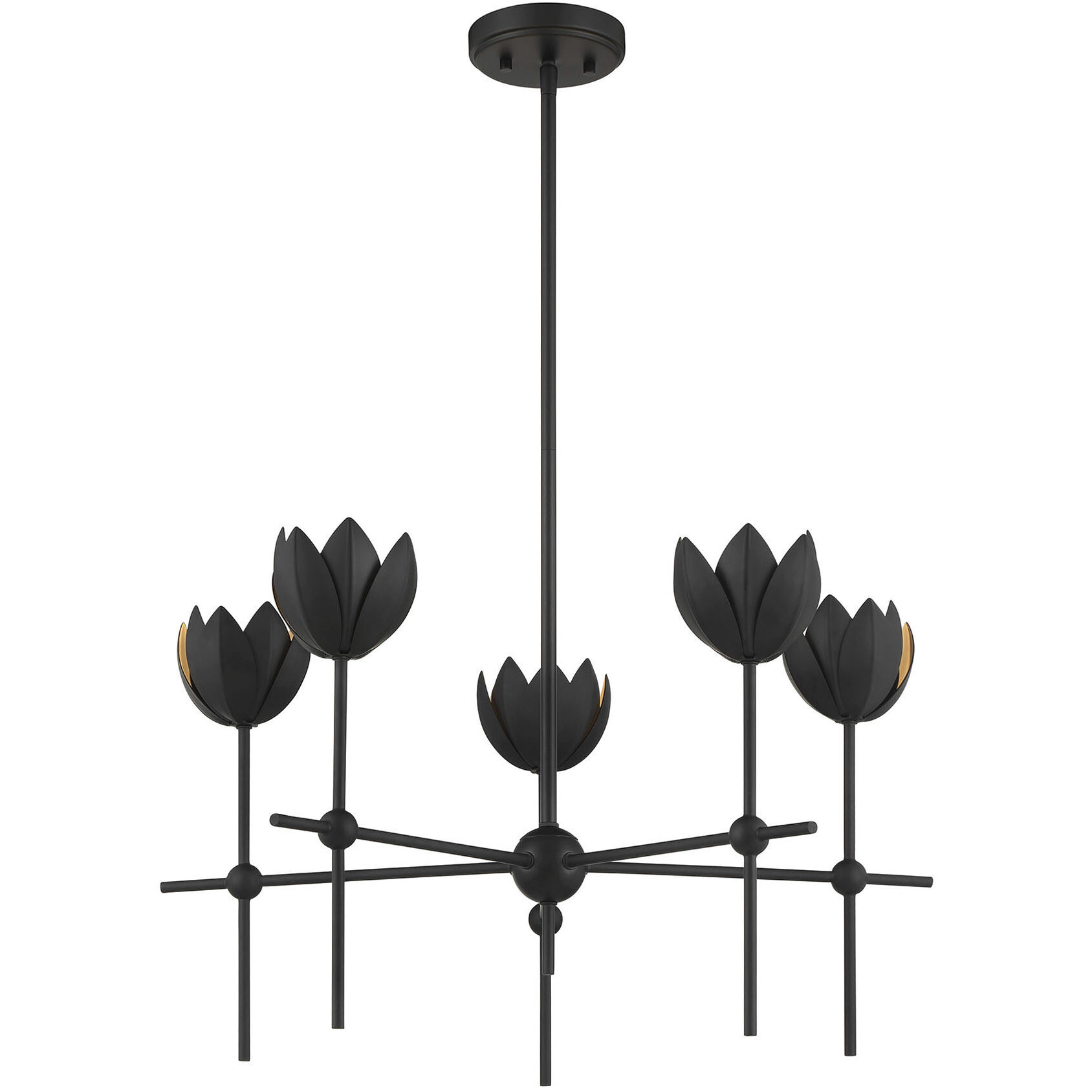 Bohemian LED 26 inch Matte Black Chandelier Ceiling Light