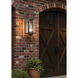 Norfield 1 Light 20.25 inch Dark Brass Outdoor Sconce in Seedy Glass, Brass Traditions by Innovations Lighting