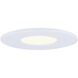 Low Profile LED 5 inch White Disk Light