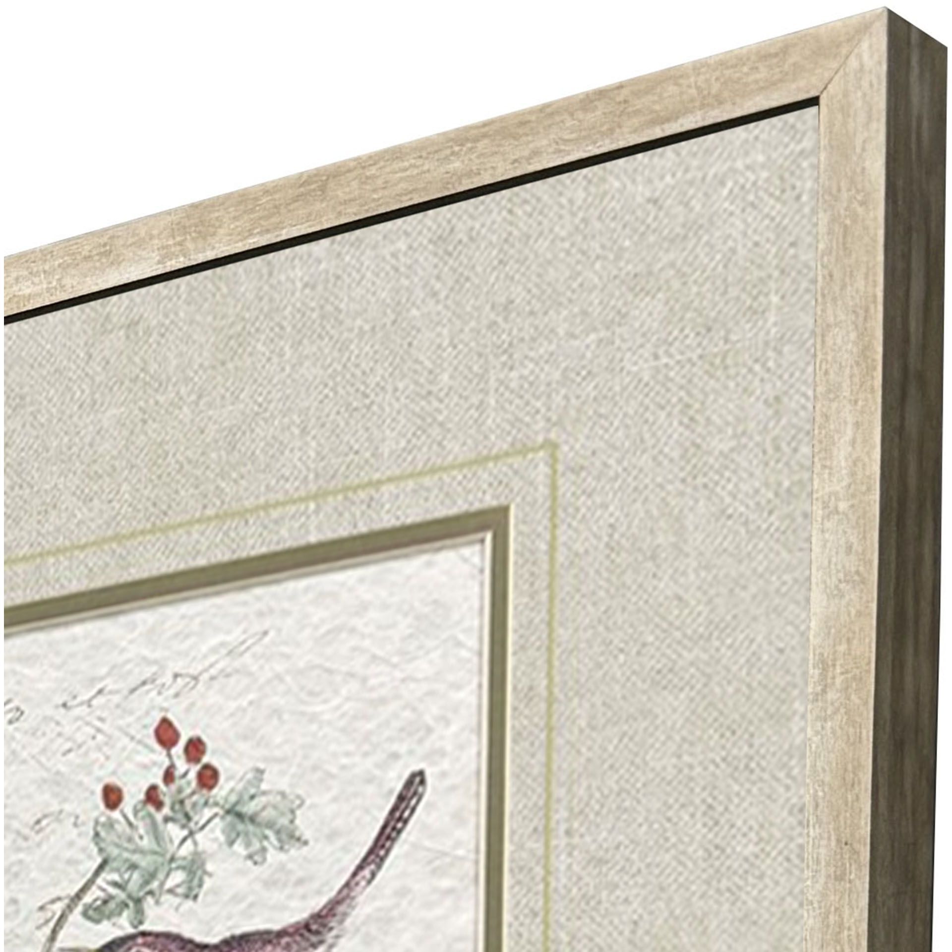 Bird Variety Blue and Green and Pink and Yellow Framed Art