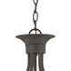 Tahoe 5 Light 24 inch Painted Bronze Chandelier Ceiling Light