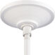 Zigrina 1 Light 5.13 inch Matte White with Polished Nickel Pendant Ceiling Light