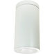 Cobalt White Surface Mount Cylinder Ceiling Light