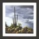 Photography Collection Blue Framed Art
