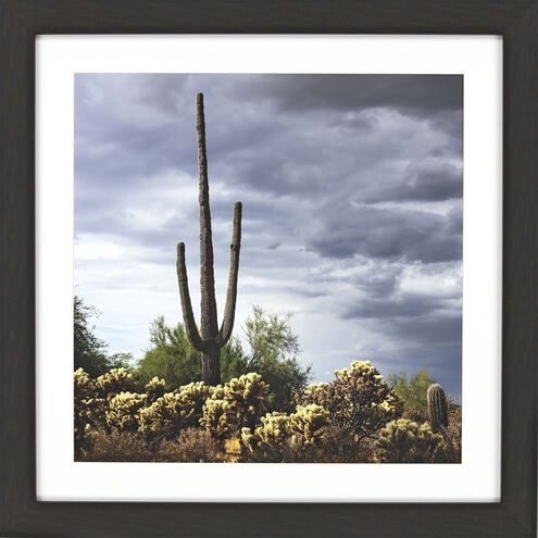 Photography Collection Blue Framed Art
