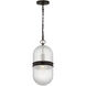 Alexa Hampton Lucinda 1 Light 8 inch Aged Iron Pendant Ceiling Light