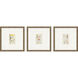 Florals Collection Green Framed Art