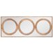 Balwani 71 X 31.5 inch Natural Mirror