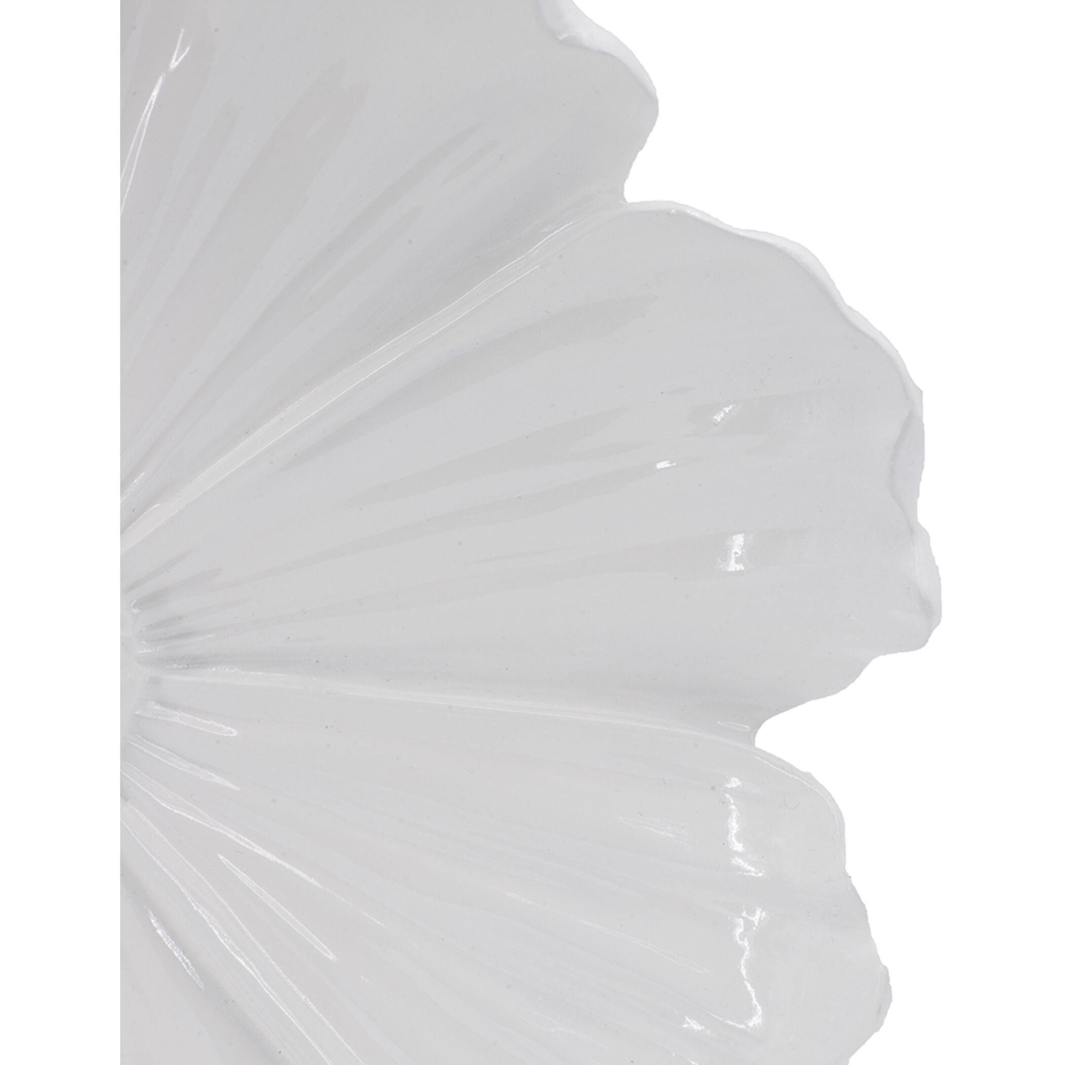 Rose White Wall Accent