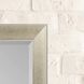 Mirror Collection 41 X 29 inch Metallic Wall Mirror