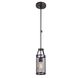 Gastown 1 Light 6 inch Graphite Net Mini-pendant Ceiling Light