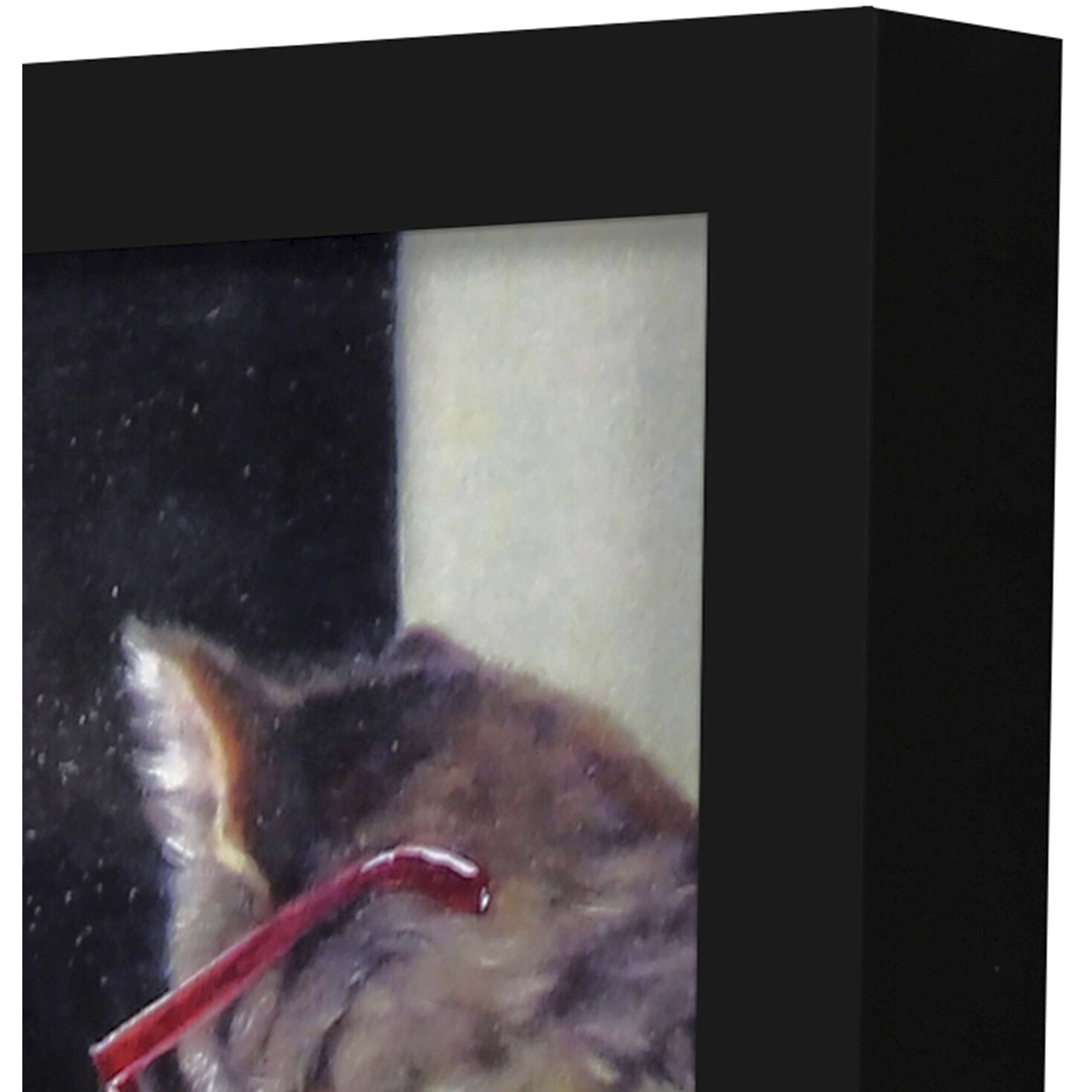 Animals 11 X 9 inch Non-Glass Framed Art, Propac