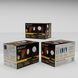 Outdoor Security LED 8.75 inch Bronze Outdoor Security