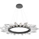 Rock Crystal LED Matte Black Chandelier Ceiling Light, Radial Ring