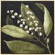Botanical Study I Green with Black and Gold Framed Wall Art