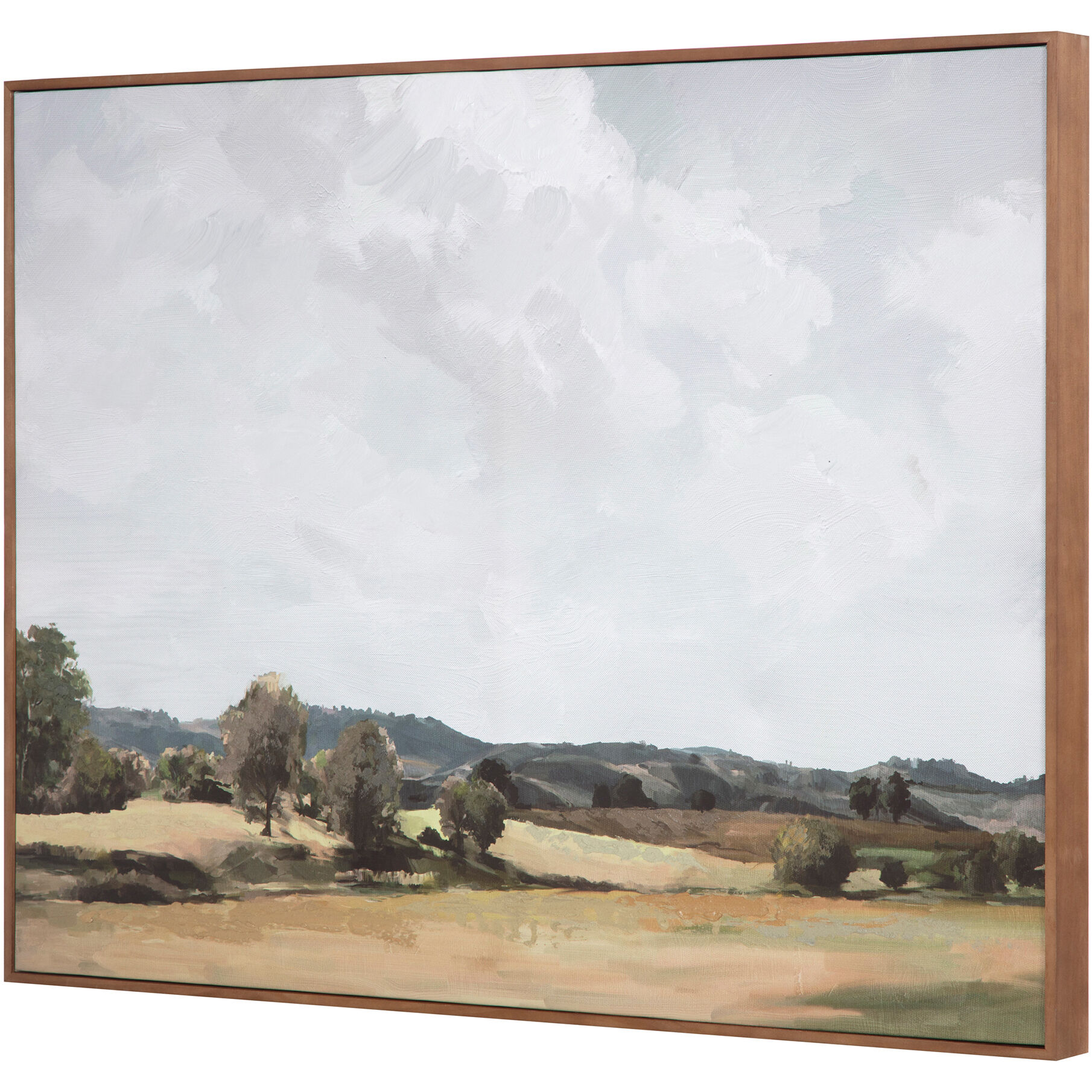 Vast Country 34 X 26 inch Painting