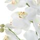 Laris White and Green Orchid Drop-In
