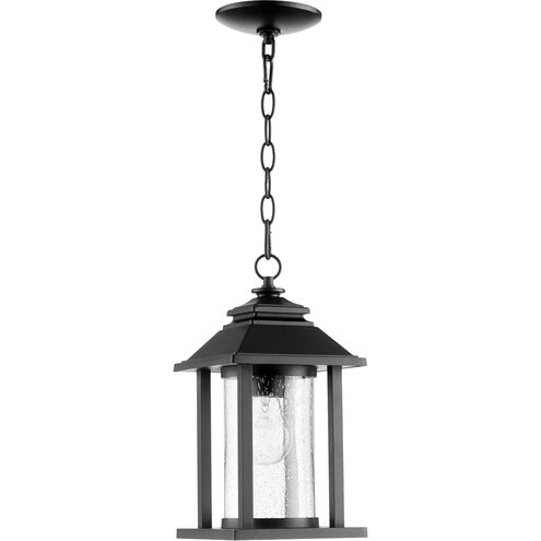 Crusoe 1 Light 7 inch Noir Outdoor Pendant, Clear Seeded