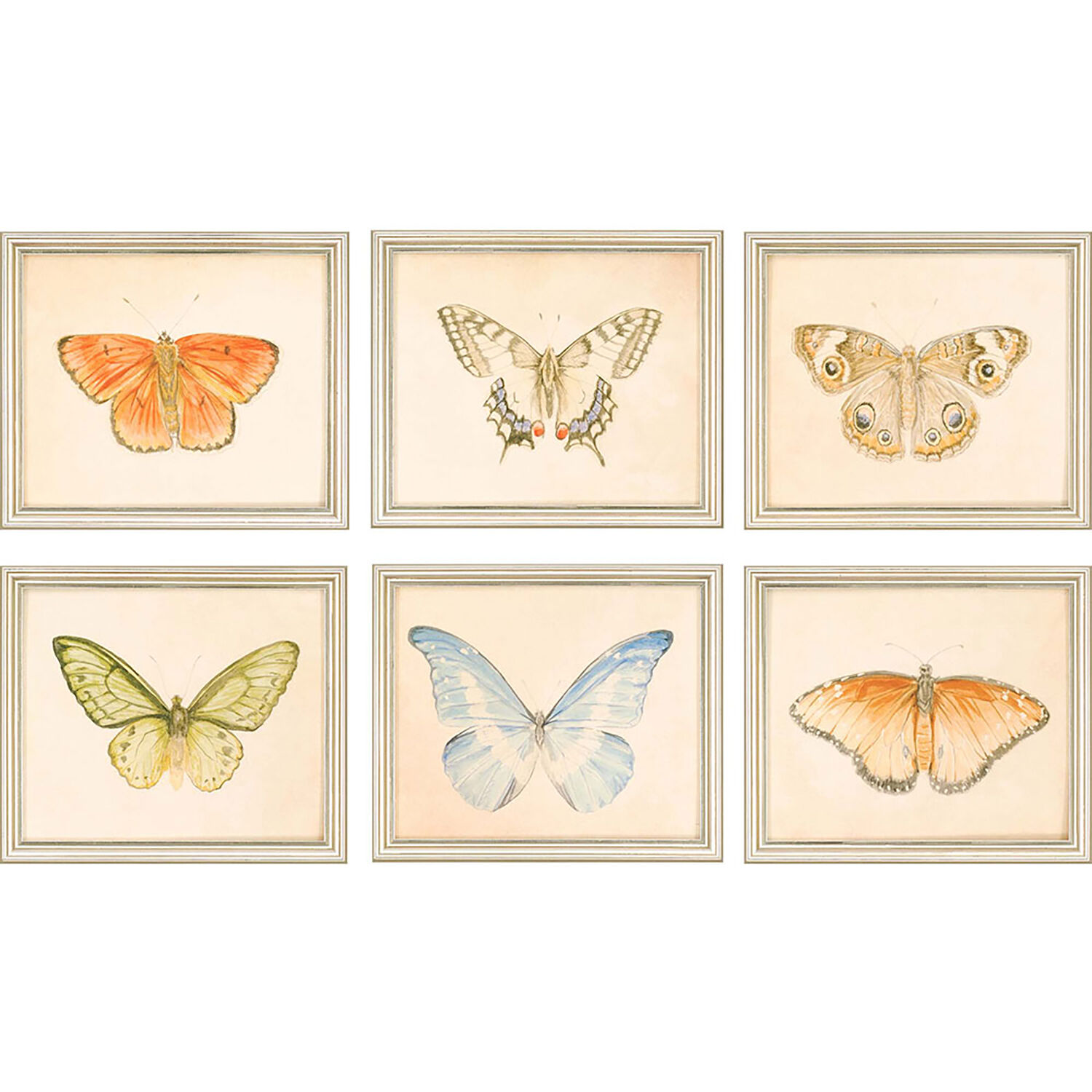 Animals Multi and Orange and Blue and Beige Framed Art
