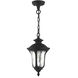Oxford 1 Light 7 inch Textured Black Outdoor Pendant Lantern