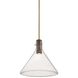 West Hill 1 Light 19.5 inch Patina Brass Pendant Ceiling Light